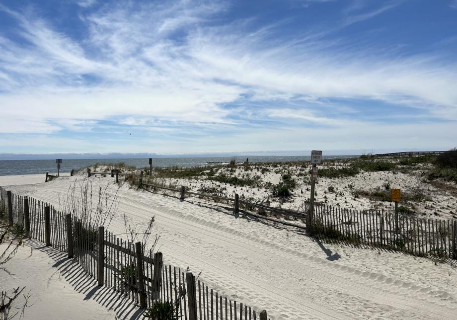 A beach with blue skies above it. 