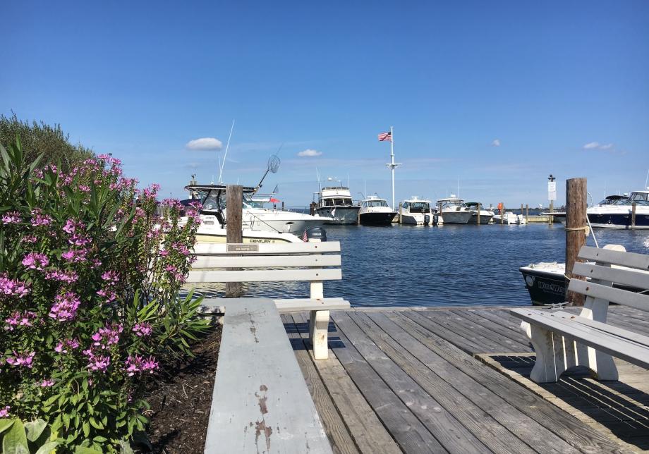 A marina in Fire Island, New York, with boats docked. 