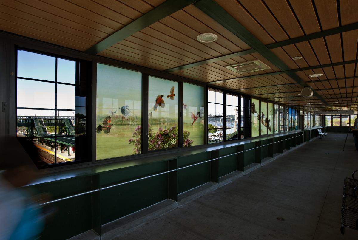 Artwork in laminated glass by Holly Sears showing animals in and out of water. 