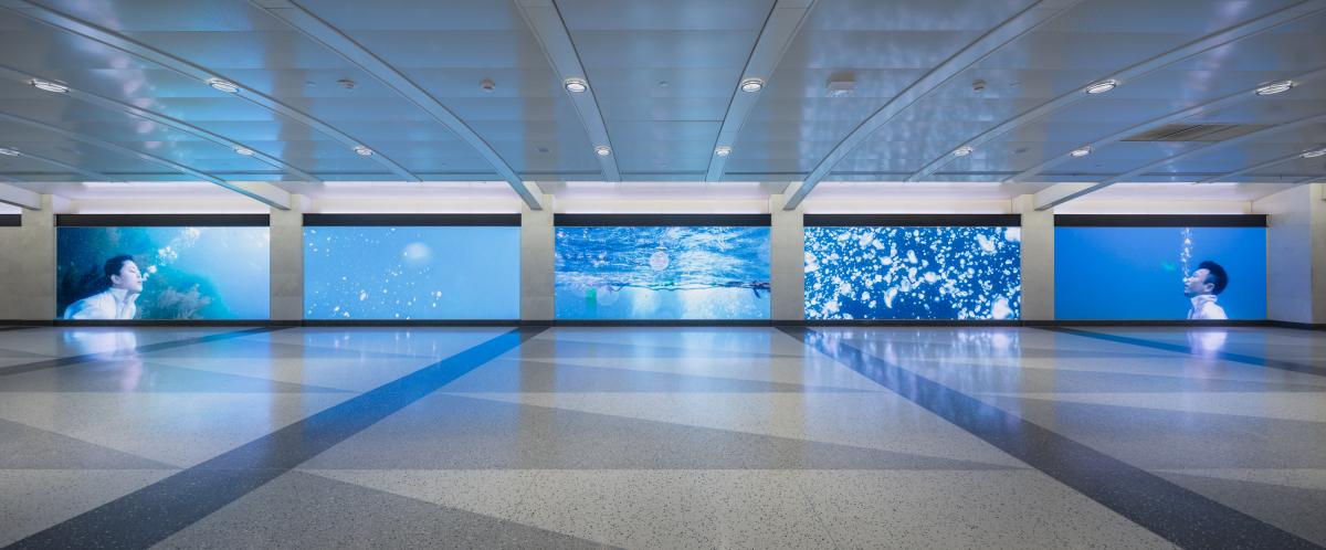 View of five large-scale digital screens at Grand Central Madison