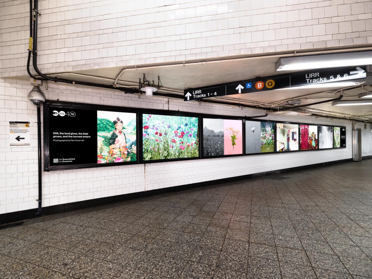 Horizontal display of colorful nature and portrait photographs mounted between white subway tiles and direction signage.