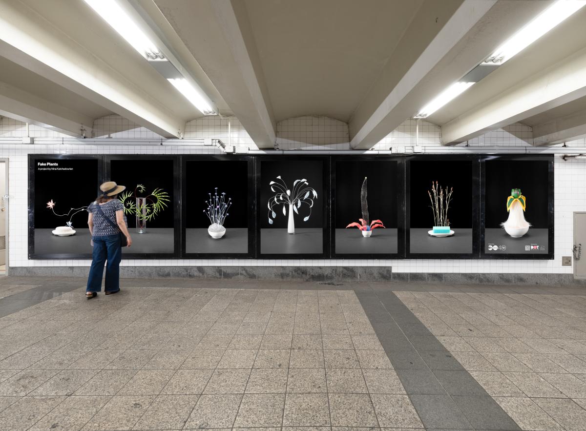 View of photography lightboxes featuring images of fake plants.