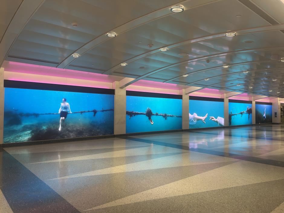 View of five large-scale screens showing underwater video.