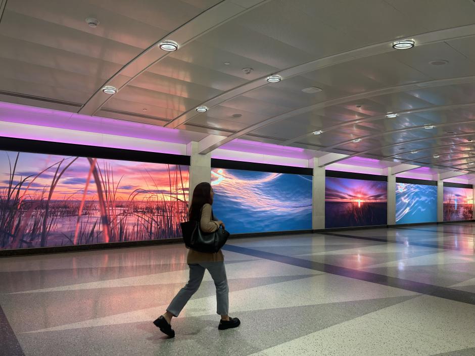 Figure walking in front of five large digital screen with images of an wetlands displayed.