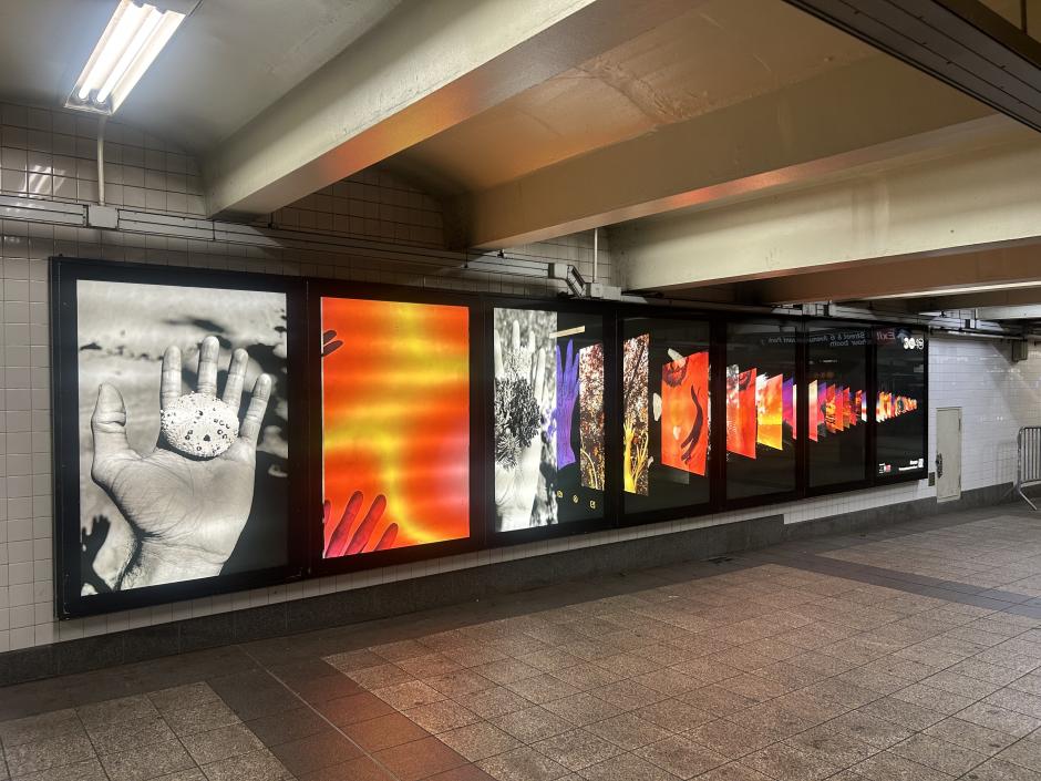 View of photography lightboxes in a subway station.