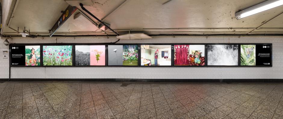 A row of photographs, featuring various images of flowers, plants, people, and nature scenes, displayed on a horizontal wall panel in Atlantic Av-Barclays Center station.
